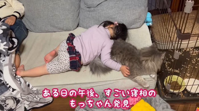 寝てる子供と猫