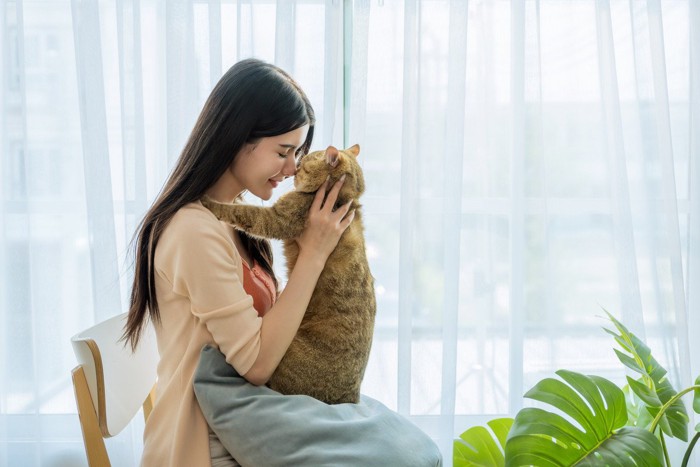 鼻をくっつける猫と女性