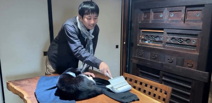 服の毛を取る飼い主と猫