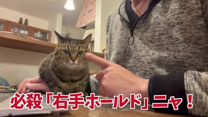 とーちゃんの右手に乗る牛太郎さん