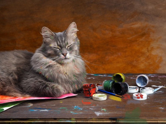 猫と絵の具