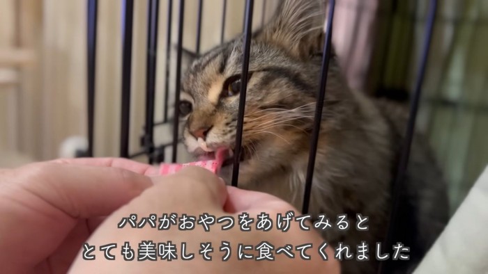 テロップ「パパがおやつを~」