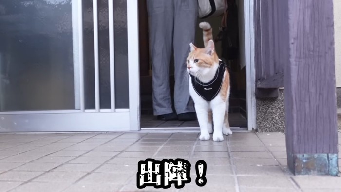 出陣!