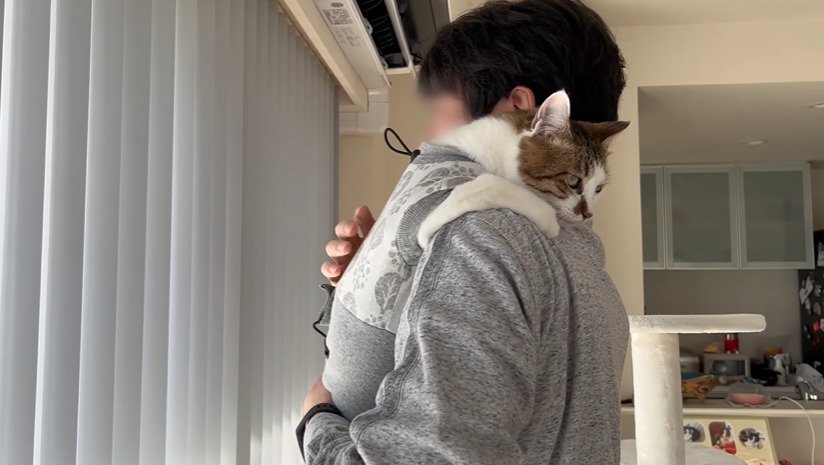 抱っこ中に外を見るパパさん