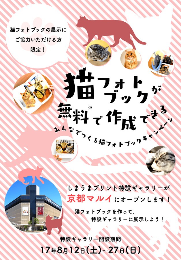 猫フォトブック展