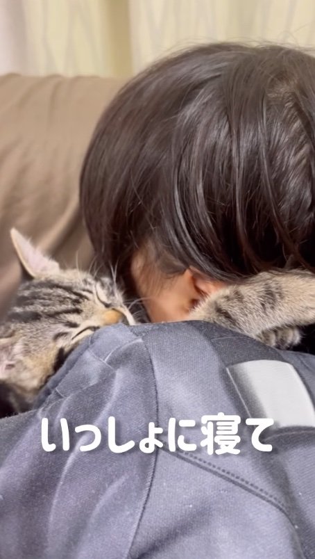 抱きつきながら眠る子猫