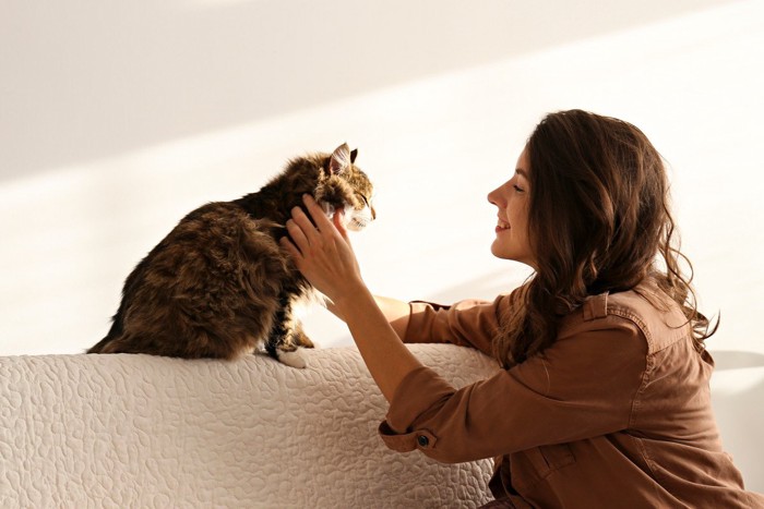 猫と女性の飼い主