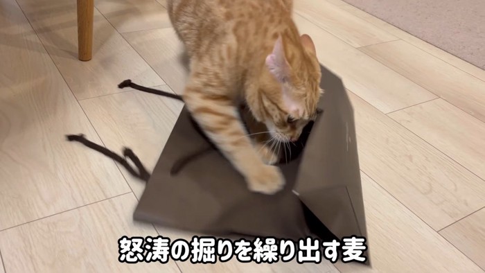 怒涛の掘り