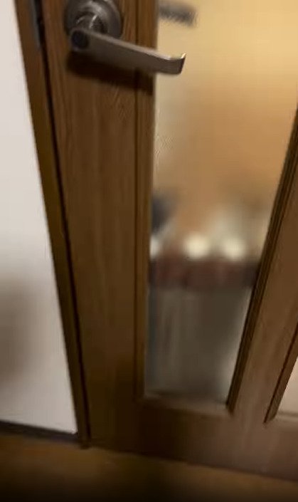 扉越しに見える猫の影