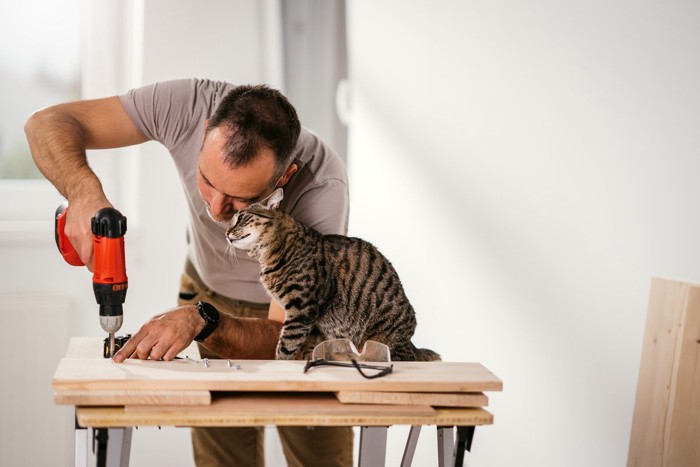 男性に頭突きをする猫