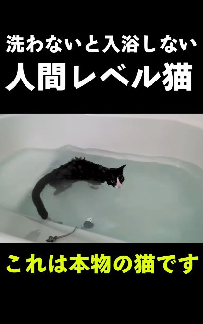 お風呂