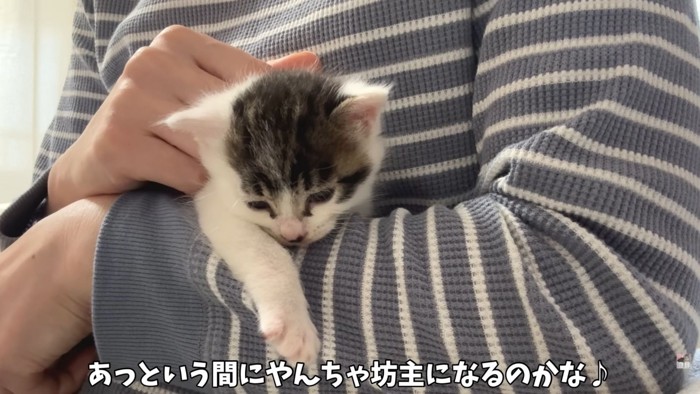 テロップ「あっという間に~」