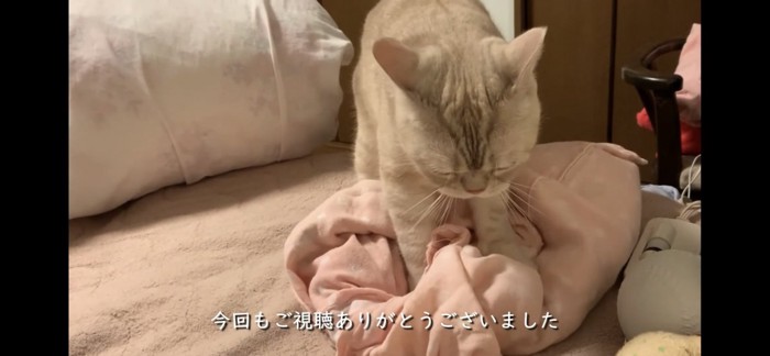 終わらないふみふみ