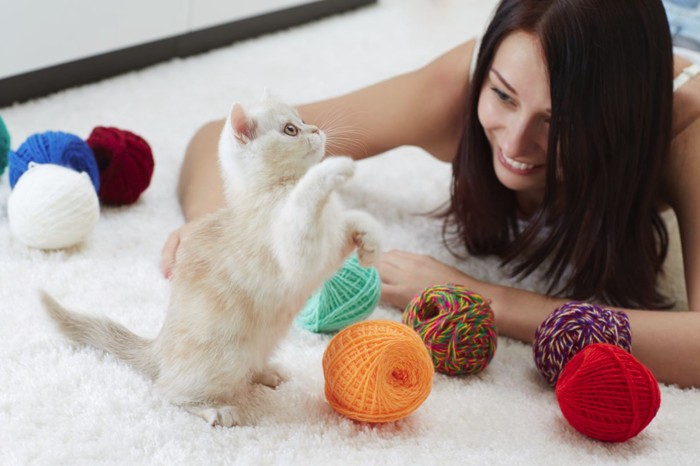 女性と一緒に遊ぶ猫