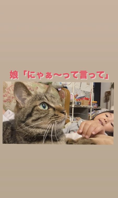 猫に手を伸ばす娘さん