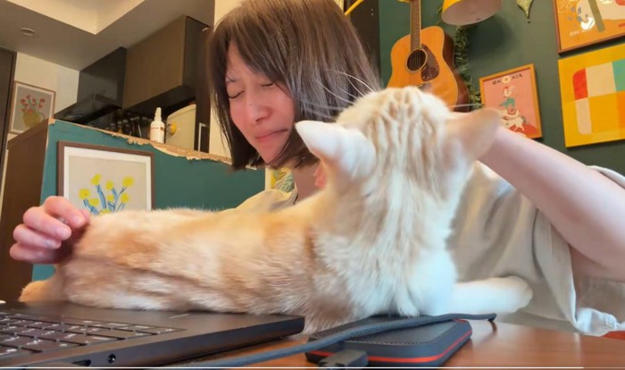 噛むのを止めない猫