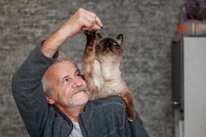 猫と戯れる男性