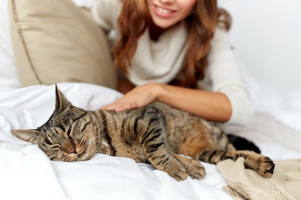 寝ている猫をなでる女性