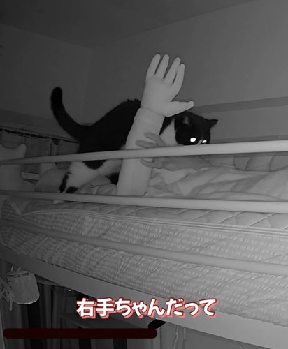 右手を上げる