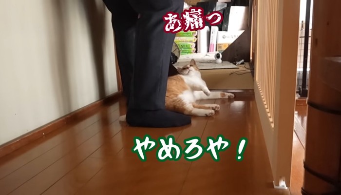 やめろや!