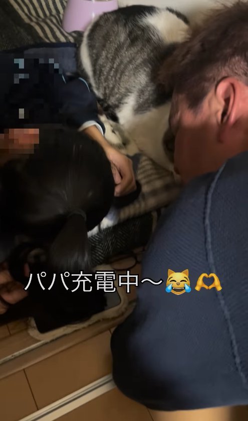 香箱座りしている白サバに寄り添う父娘