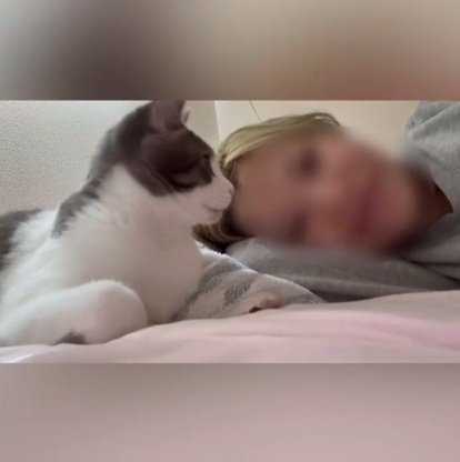 振り向く猫