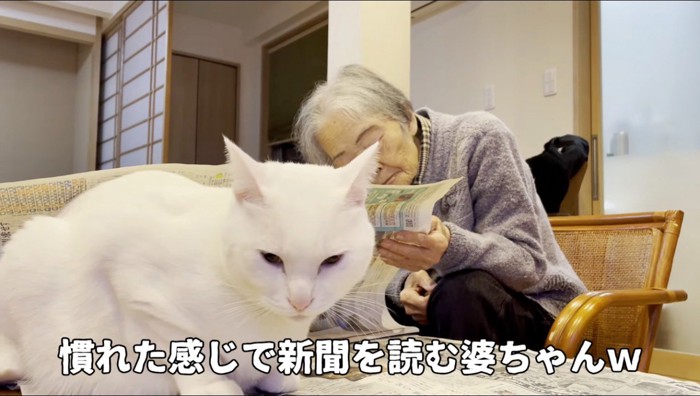 猫が乗っている新聞をめくる老人