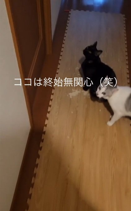 一部無関心