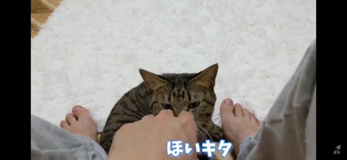 待ってました