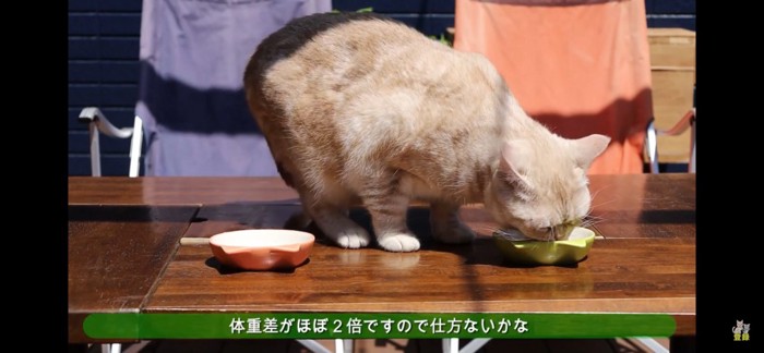 ふたり分