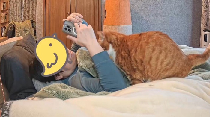 横になってスマホを触っている飼い主をすぐそばで見つめる猫