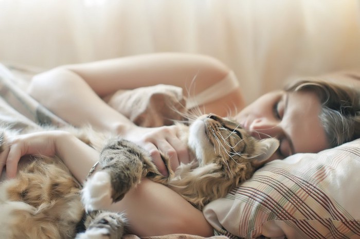 女性と一緒にベッドで眠る猫