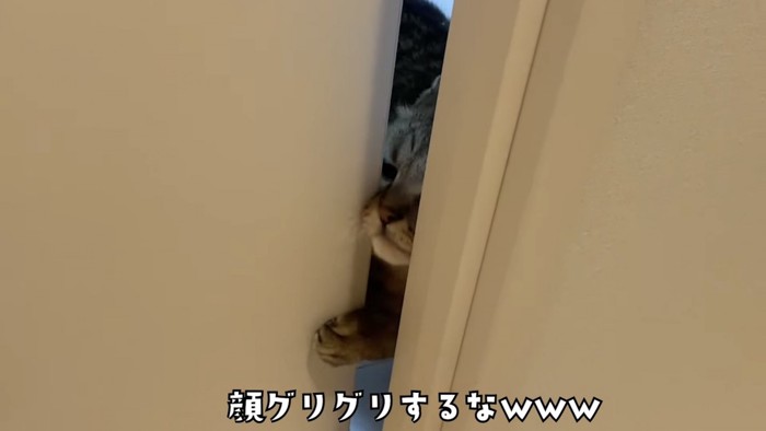 「顔グリグリするなw」のテロップ写真