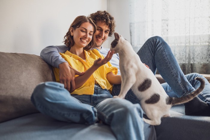 やってきた猫を見て笑顔になる夫婦