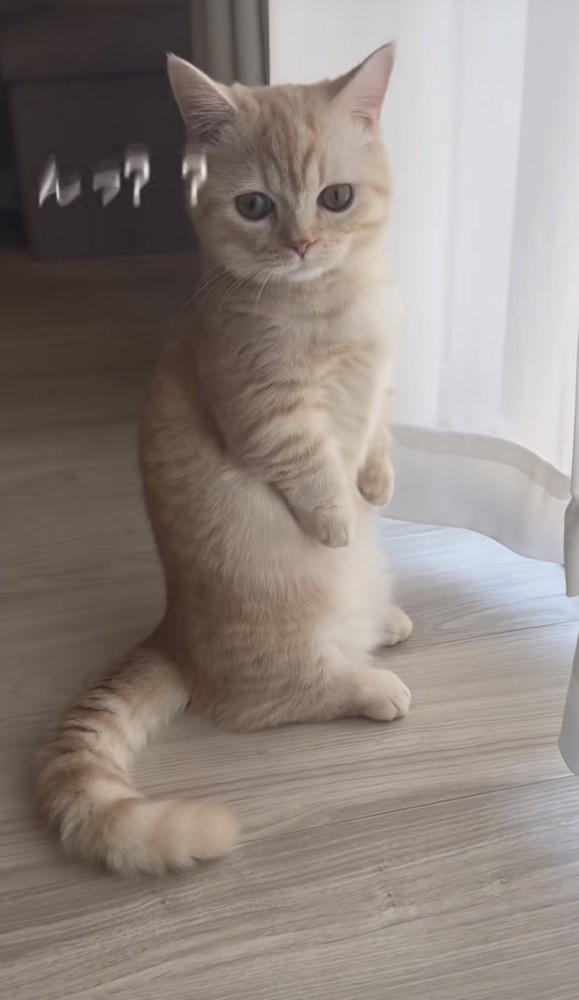 「んっ？？」のテロップ写真