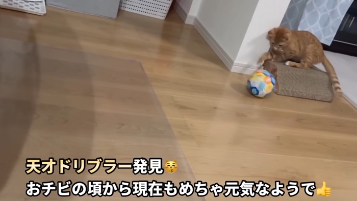 テロップ「天才ドリブラー~」