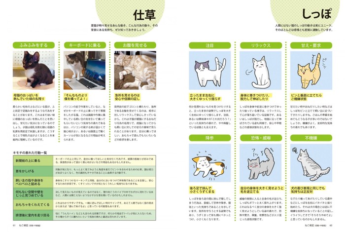 05_ねこ検定公式ガイド「猫の気持ち しっぽ、仕草」