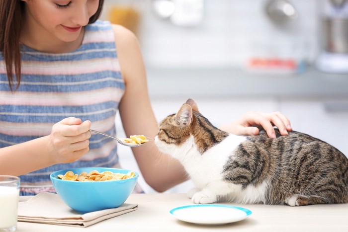 猫とコーンフレーク、女性