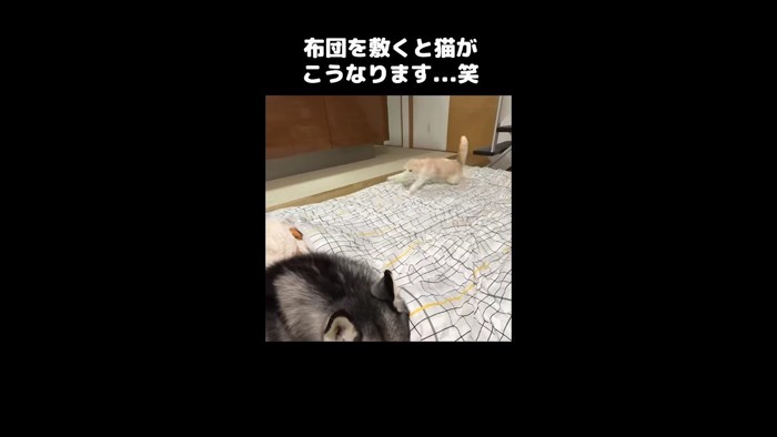 走る姿