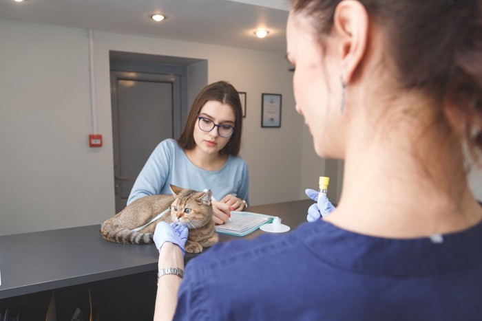 動物病院の受付