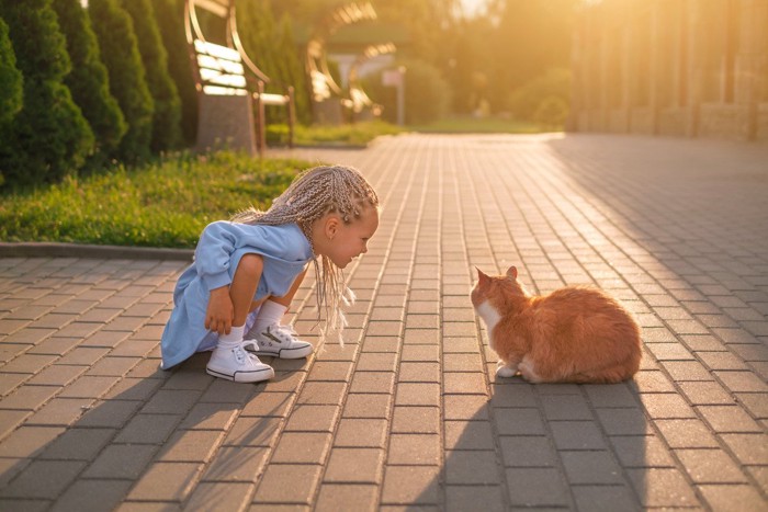 少女に接近される猫