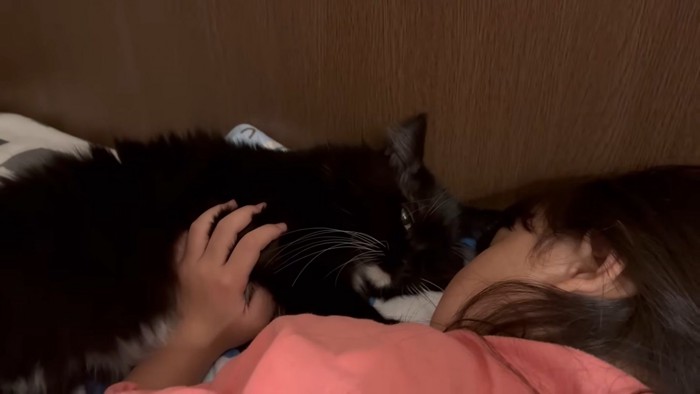 お顔を寄せ合う猫ちゃんとお姉ちゃん