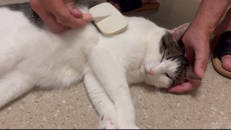うっとり