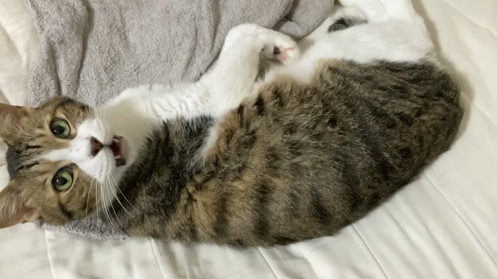 驚きの表情をするミックくん