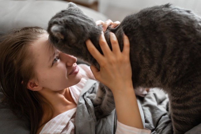 ベッドで寝ていた女性の顔に近づく猫