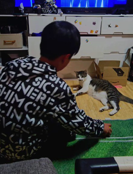 キャッチボールをする男の子と猫