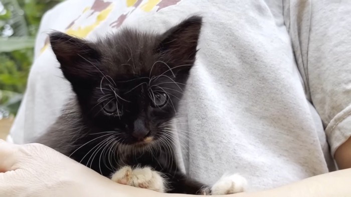 抱っこのアップ