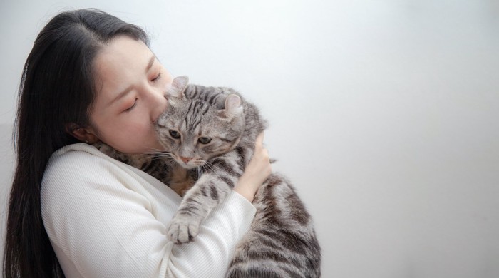 抱っこされる猫