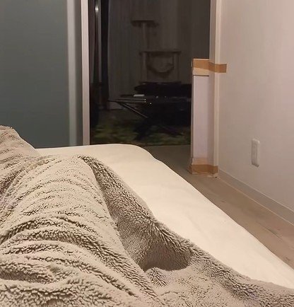 猫が消えていった部屋