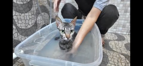 汚れた浴槽の湯